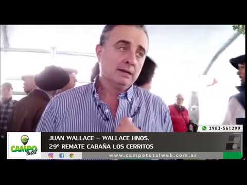 Juan Wallace - Remate Cabaña Los Cerritos