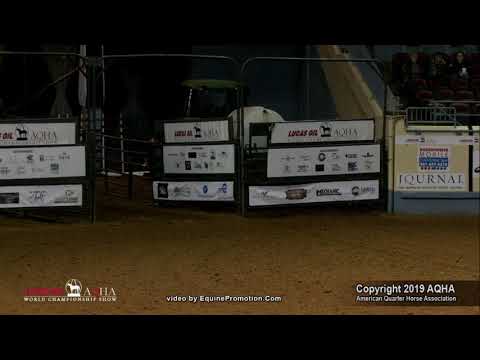 Hay Goodlookn 2019 AQHA World Show