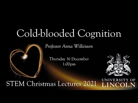Cold-blooded Cognition | Professor Anna Wilkinson