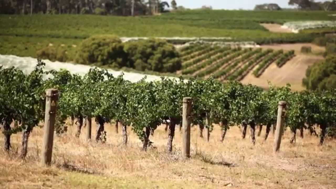 LANGTONS CLASSIFICATION 2014 FULL