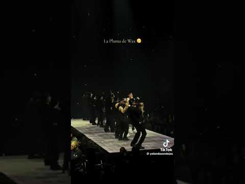 Peso pluma la pluma de Wax