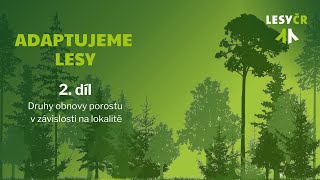 Adaptujeme lesy – 2. díl