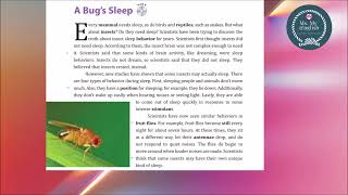 05 A bug's sleep