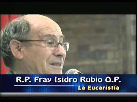 Homilía 17 de Agosto de 2014 TEMA: "Mujer, !Que grande es tu fe!"
