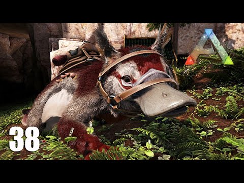 Domando o ÍNCRIVEL MAEWING - ARK Survival Evolved Ragnarok - Ep 38