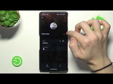 How do I enable Do Not Disturb mode on the ASUS ROG Phone 9 Pro?