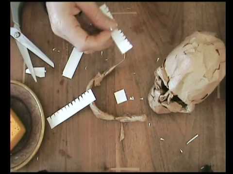 comment construire un squelette humain