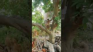 Download lagu 6 November 2023#ashik vlogs#🙈🙈🙊#shortvidio #trending mp3