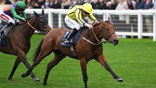 200/1 winner! POWERFUL GLORY claims shock Champions Sprint success