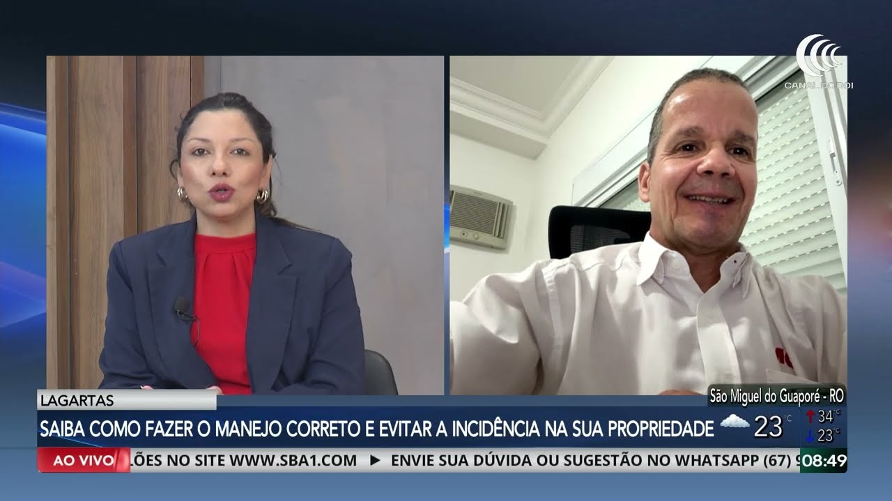 Saiba como fazer o manejo correto e evitar a incidência das lagartas na sua propriedade