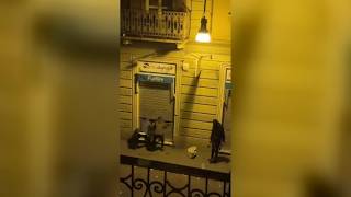 Torino, la rapina in centro è in diretta: la banda in azione e un negozio distrutto in via Grassi...