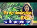 Ma Ha Senehasa Pala Karaoke Without Voice