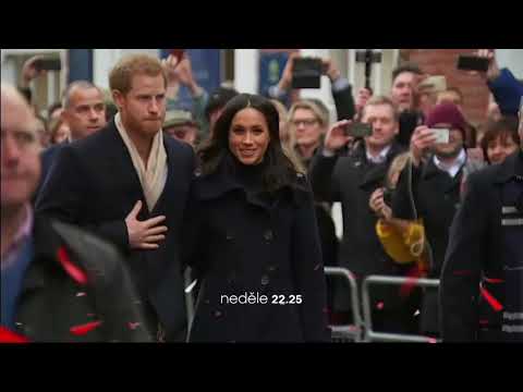 Střepiny | 14. 3. 2021