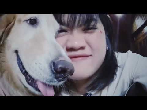 Merry midnight-Numcha x Kuo (cover)