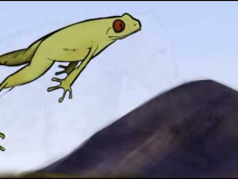 Claire, an Angel is born