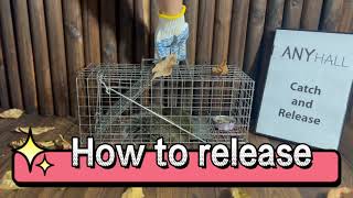 Anyhall Squirrel Trap - Catch and Release
