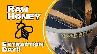From the Flowers to the Bucket, Let's Extract some Honey!