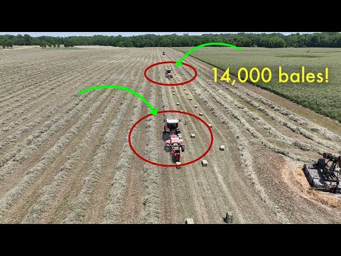 5 Balers Make 14,000 Bales Effortlessly