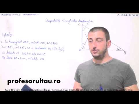 dreptunghic triunghi exercitii rezolvate - profesorultau.ro