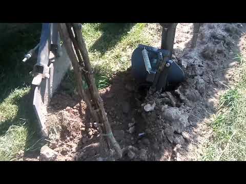 Collaudo apripiante ventrale con pulisciceppo