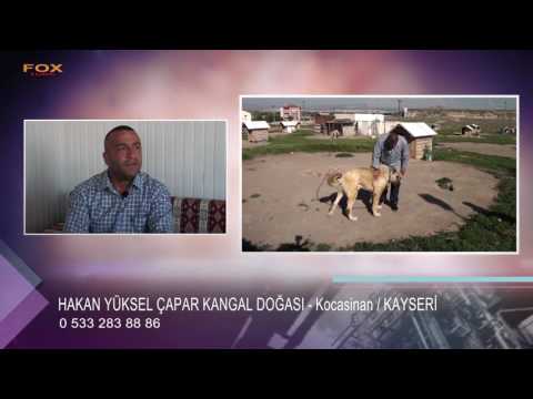 Kurban Bayrami Kayseri De Namaz Kayseri Hava Durumu Facebook