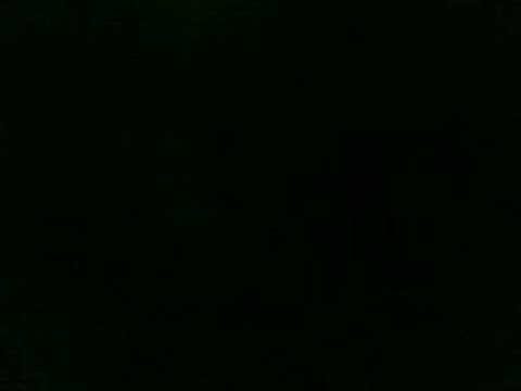 Skharlau dn bacani.3gp