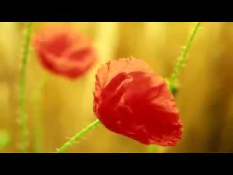 Tapan sharma Sanam Re -...