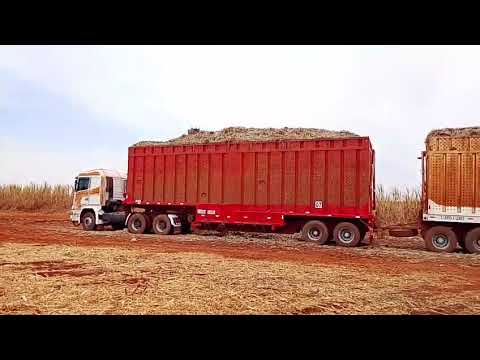 Carregamento da usina bazan cidade Pontal São Paulo