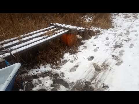 Середина ноября 2021 г. крайние выезды на рыбалку перед ледоставом.