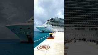 Come check out MSC Seashore with us in this 60 second ship tour! 🚢  #cruise #shorts