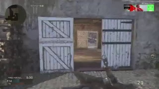 ＃3  ●ッキーさんのエレクトリカルパレード COD WW2　FFA