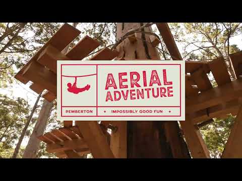 Aerial Adventure Pemberton