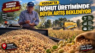 🌾 Kuraklık Sonrası Yüzler Güldü! Yozgat’ta Nohut Üretiminde Büyük Artı