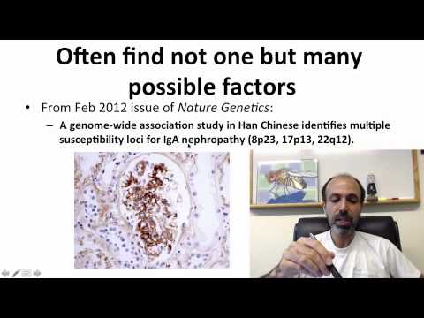 4   6   Week 4   6 S Genome wide Association Studies 1221