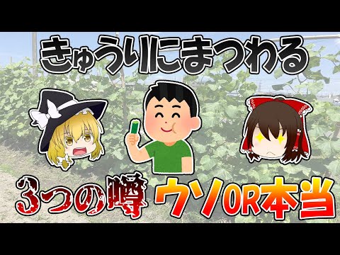 , title : 'きゅうりにまつわる3つの噂、ウソOR本当？【ゆっくり解説】'