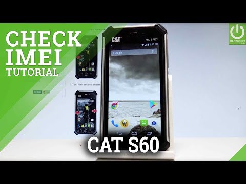 CATERPILLAR S50 SERIAL NUMBER / CHECK SN