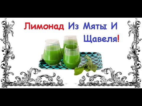 Лимонад Из Мяты И Щавеля / Книга Рецептов / Bon Appetit