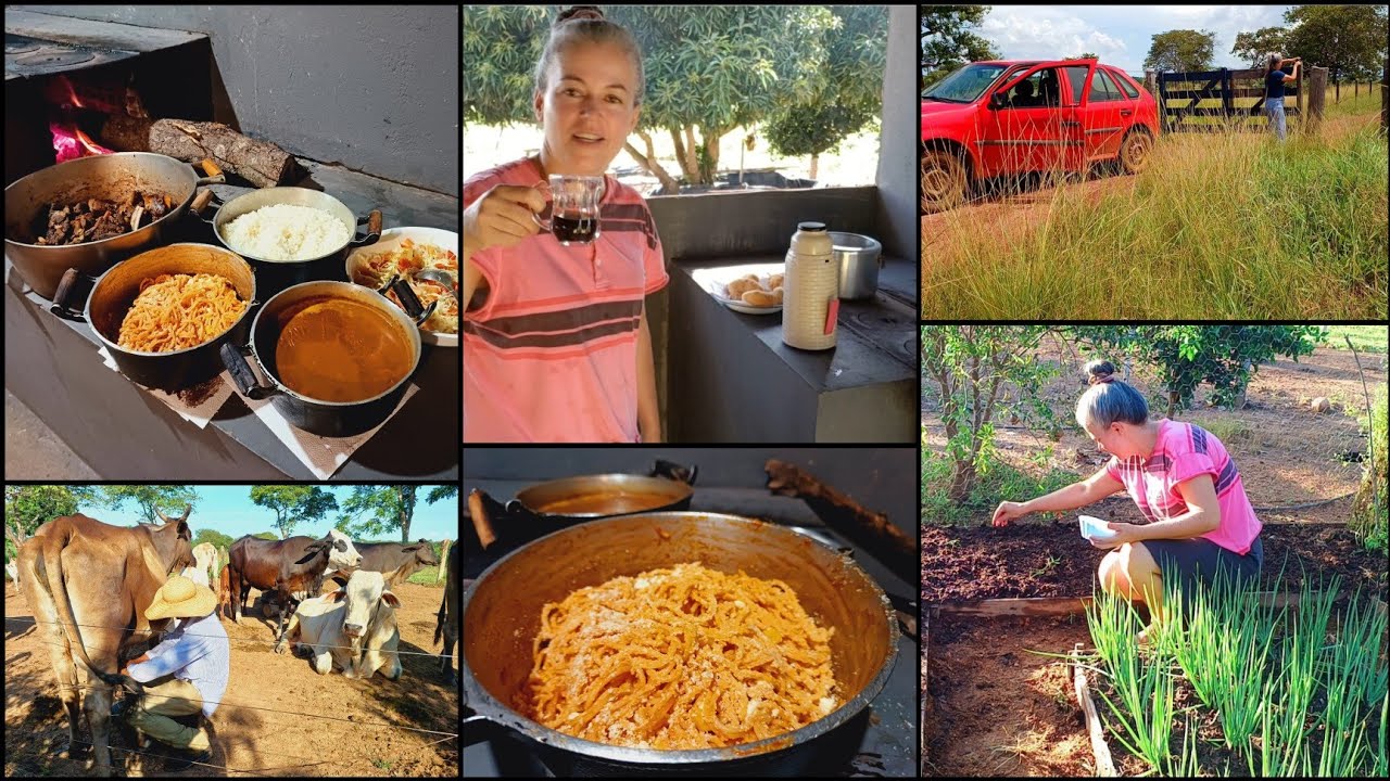 ROÇA SEM HORTA NÃO É ROÇA/NEM TUDO É FLORES/MUDANÇA NA COZINHA CAIPIRA/JANTAR NO FOGÃO A LENHA