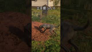 犬の行動　墓 #ゲーム #rdr2 #レッドデッドリデンプション2
