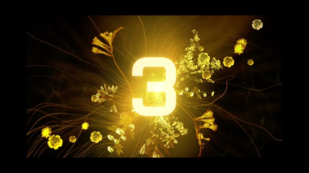 Vantage Point Plugin for Emby