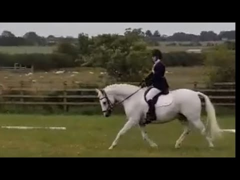 BE90 Dressage Test 96 (2016)