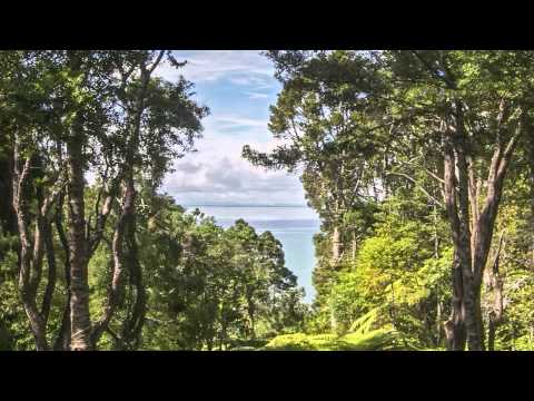 SOLD - 62 Paturoa Road, Titirangi - Hedo Rientsma and Audette Whitau