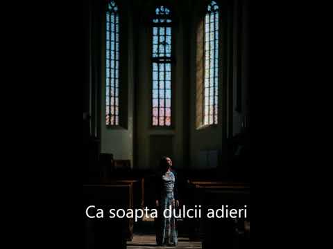 Amalia Decean   - Ce linistiti sunt pasii Tai