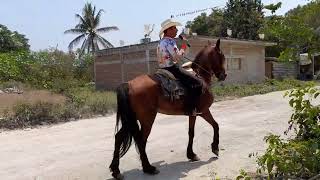 Óyeme Chatita joan