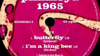 Pink Floyd / Syd Barrett - Butterfly (1965)