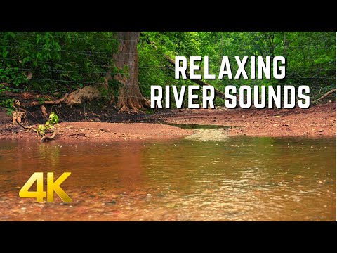 Relaxing River Sounds - Peaceful Forest River - 30 Minutes Long - 4k Ultra HD - Nature Video