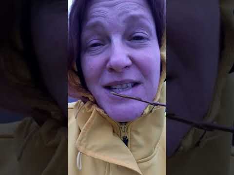 Wirkung von Weidenrinde