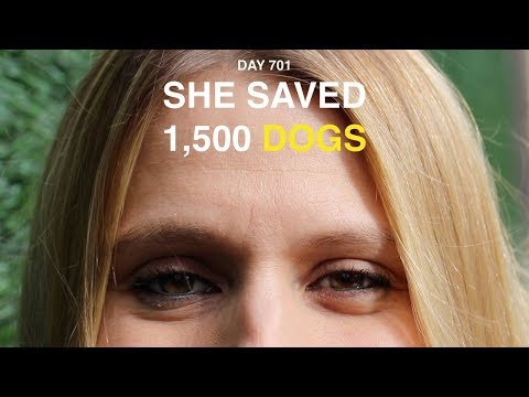 She saved 1500 dogs | Nas Daily