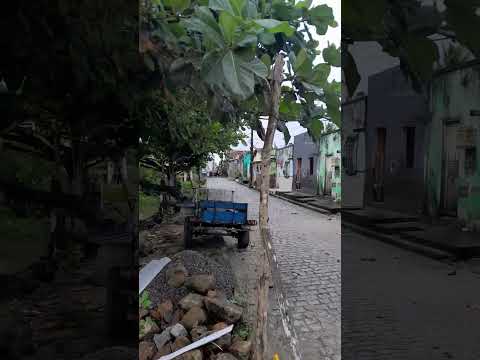 🌧️⚠️ ALERTA NO SUL DA BAHIA! RIO SALGADO CONTINUA SUBINDO EM IBICARAÍ ⚠️🌧️#suldabahia #nordeste