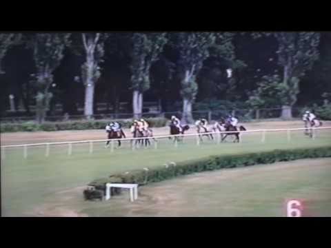 Nagroda Próbna - 14.06.2003 - Alembard (Eukaliptus - Albula)